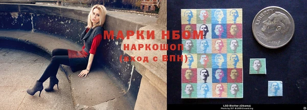 твердый Арсеньев