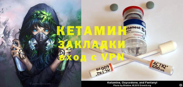 твердый Арсеньев
